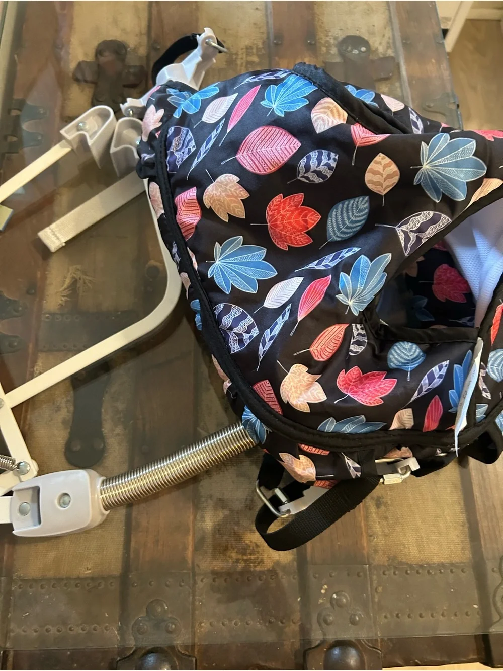 Leaf-Print Baby Doorway Jumper - Black with Pink & Blue Leaves